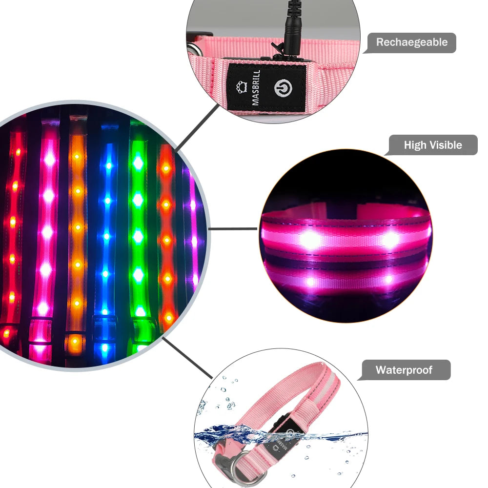 Light Up Dog Collar (Waterproof)